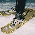 snowshoeing 雪鞋