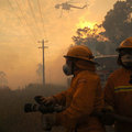 2009年森林大火時動員的救火直昇機