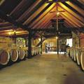 貯存橡木酒桶 Oak Barrel 的酒窖 Wine cellar
