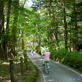 夏日以騎單車遊輕井澤為最好的方式，在車站周圍就有幾家出租自行車的店，輕快的踩著單車去逛街、或看古蹟、或只單純的鑽入綠色森林隧道裡兜風
