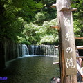 白系の滝在輕井澤的北邊，是一個寬度廣達70公尺、高只有3公尺的瀑布，只見黑色的岩石上宛如數百條白色的絲絹的溪水一瀉而下
