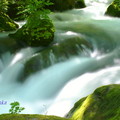阿修羅の流れ是奥入瀬最著名的景點，也是最佳的攝影場景
