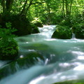 溪流中的「九十九島」將溪水細割分流，然後又一氣合流，激蕩出獨特溪流景觀