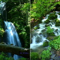 雲井の滝 座落在鬱蒼的樹林中，瀑布由懸崖邊以2段式屈折落下，落差約25m，是奥入瀬的第二大瀑布。因水量豊富、落下的水音響徹森林