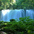 銚子大滝 寬20ｍ、高7ｍ，是奥入瀬渓谷最大的瀑布