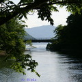 奥入瀬渓流之母，十和田湖就在前方
