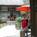 成就院平常只是小小不起眼的寺院，但在鎌倉眾多紫陽花名所中卻是人氣最旺的
