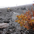 茶臼岳為活火山，近幾拾年來仍然有噴火噴石的活動，由砂礫地表上散落的巨大碎石可見其威力。我們只意思的登到距離茶臼岳頂 0.6 Km的地方，因為算算時間也只夠折回趕搭最後一班纜車 
