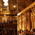 每年的元旦演奏會都在這黃金廳舉行，美妙、壯觀的管弦樂聲會透過即時轉播，傳往全世界各地

