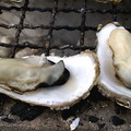 將肥美的松島牡蠣連殼一起燒烤，無需任何調味，其本身所含的海鹽恰當的襯托出鮮甜滑嫩的口感