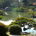 跨虹橋為連結濯纓池南北的太鼓橋、縮景園的象徴名橋。庭園的正中央有個清風館，以檜木皮覆蓋的屋頂，是與庭園的結構相稱的茶室建築