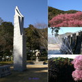 吉香公園內「大噴水」與梅花共舞春風