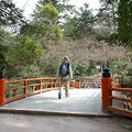 紅葉谷公園內無論是春桜、夏之新緑或是秋的紅葉都充滿了隨季節変幻的大自然魅力。尤其約200棵的紅葉木(モミジ)一齊彩繪的秋之色彩更是壓軸好戲。可惜冬季似乎沒多大看頭