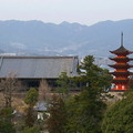 在もみじ歩道上可以眺望五重塔及千畳閣、厳島神社、西の松原等景