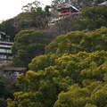 千光寺位於尾道市街背後的千光寺山頂