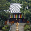 本堂為瓦覆屋頂、單層入母屋造的佛堂，鎌倉末期的建築。国指定的重要文化財