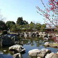 東側的「林泉庭」是以露岩設計的水池庭園