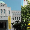 愛媛県庁舎是縣議會議事堂等建物的總稱。其中本館建於1929年，2003年電影「在世界中心 呼喊愛(世界の中心で、愛をさけぶ)」曾在此取景。縣廳前的柑橘黃了，那是代表愛媛県的特產