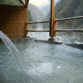 祖谷溫泉是呈白濁色的單純硫化水素、攝氏39.3度的源泉、以每分鐘1500公升的量由溪底自然噴出