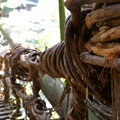 かずら橋顧名思意是由一種(かずら)的蔓藤類植物編造而成，其最主要的目的就是可以隨時砍斷藤蔓，阻止敵兵追殺。