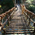 かずら橋長45 m、寬 2 m，度橋時搖搖擺擺的，有很多人懼高不敢走，Rinka覺得倒是好玩
