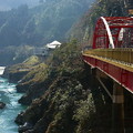 吉野川總長194km，幾乎橫切整個四國山地，被列為「日本三大暴川」之一