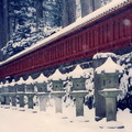 由東照宮出來，通往二荒山神社的參道(上新道)兩側，古木參天、數十座石燈籠排成一列，像極了日本武士決鬥的場景
