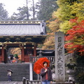 家光廟大猷院」位於二荒山神社的西南200公尺處，為德川幕府3 代將軍家光的靈廟，因為其建築與東照宮不同，屬於純粹的佛寺建築，因此被併入輪王寺的一部分，亦指定為國寶
