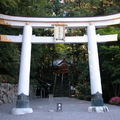 透過鳥居，可以看到宝登山神社就隱座於濃密森林中