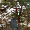 024  弁慶の墓