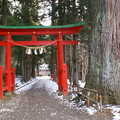 進入白山神社鳥居，穿過一片樹林，就可以看到白山神社及「能樂堂」