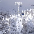 從樹冰高原駅開始，往上到最高1661m的藏王山頂駅，樹冰隨著海拔的漸增，其外觀也由像是炸蝦尾般的姿態，變化到如巨大雪怪般的身形