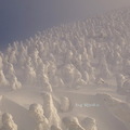 但這次奇蹟似的雪雲頓開僅維持不到2分鐘，而且也沒再出現了