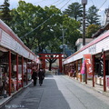 接近神社又是一段參道商店街，然後才是神社正面境內入口的鳥居
