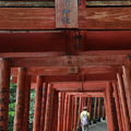 接著往山上走，一路上都有稻荷神社特有的赤鳥居群伴隨著，直到山頂