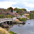 「水前寺成趣園」是肥後細川藩(熊本藩)初代藩主細川忠利、於寛永13年(1636年)作為待客飲宴之用所建築的「水前寺御茶屋」為起源，經過第3代藩主細川綱利增建泉水、築山等之後成為現在的形貌
