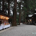 我們由神橋循登山步道，然後由高千穂神社的後門進入，此時固然天色已不早，但更多是因為古木閉日