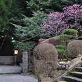 高千穂神社的參道口