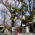 神社境内有一處被稱做結緣松的「阿蘇高砂の松」，據說是祈求男女良緣的靈驗所。比較有趣的是祈願的方式，女性要右繞２回、而男性則左繞２回
