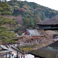 由「地主神社」眺望清水寺境內與東山