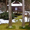 有清園為池泉迴遊式庭園，地表上白雪與苔綠交織覆蓋著，青苔上日本雪松、檜木、還有杉木立與楓樹高聳並立，尤其秋天的紅葉景色更是美得言不可喻
