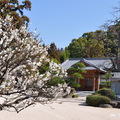 「延壽王院」 是安楽寺留守在天滿宮的別當(官司)・大鳥居家的宿坊，此為宝暦4年(1754)桃園天皇所賜予的院號。