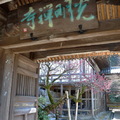 158  光明禅寺