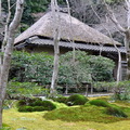 這間茅葺屋就是『祇王寺』的本堂，也是所有的寺院建物。雖然廟小、其背後卻隱藏著淒美動人的故事
