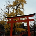 京阪行～ 上賀茂神社 - 2