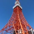 東京鐵塔Ⅱ