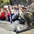 所有圖片：Photo credit should read JOHN MACDOUGALL/AFP/Getty Images