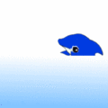 鯨魚跳躍