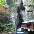 日本第一鐘乳石洞～秋芳洞