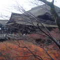 日本京都奈良大阪紅葉紀行2010 - 4